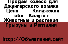 Продам колесо для Джунгарского хомяка › Цена ­ 50 - Калужская обл., Калуга г. Животные и растения » Грызуны и Рептилии   